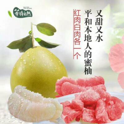 湖北宜昌秭歸縣柚子 沙田柚批發(fā)市場(chǎng)探析，0.60元/斤的價(jià)格優(yōu)勢(shì)與品質(zhì)保障