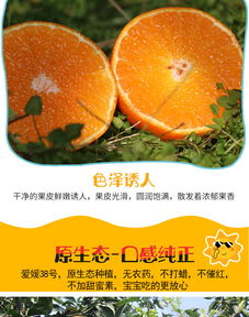 眉山愛媛38號(hào)果凍橙 自然鮮甜，孕媽首選的多規(guī)格柑橘批發(fā)佳品